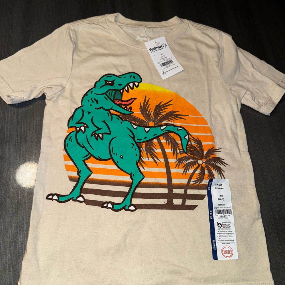 Boys Dino Tshirt